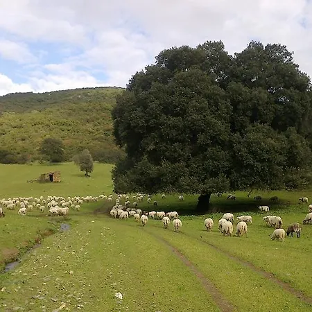 مزرعة للإقامة Agriturismo Battaglia