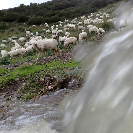 Agriturismo Battaglia مزرعة للإقامة Villamassargia