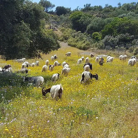 مزرعة للإقامة Agriturismo Battaglia *