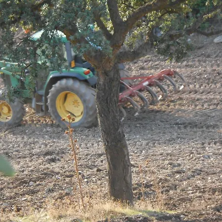 مزرعة للإقامة Agriturismo Battaglia *