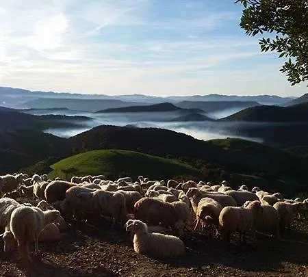 Agriturismo Battaglia *