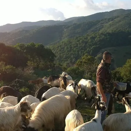 Agriturismo Battaglia *