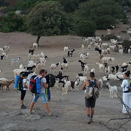 Agriturismo Battaglia